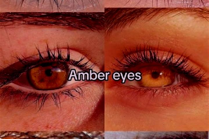 Amelia, 33, a chestnut amber-eyed caucasian companion based in Frankenmuth. Offering Massage, Couples, CIM, BDSM. Available for incall and outcall, day and e...