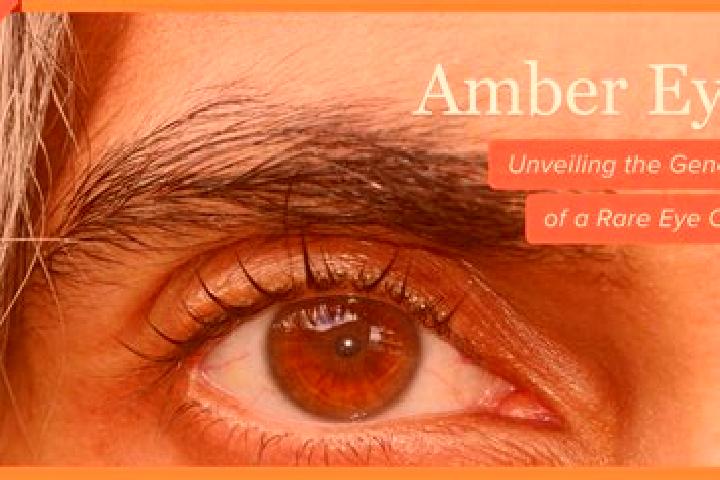 Amelia, 35, a black amber-eyed mixed companion based in Shazhouba. Offering Roleplay, OWO, CIM. Available for incall and outcall, day and evening dates.