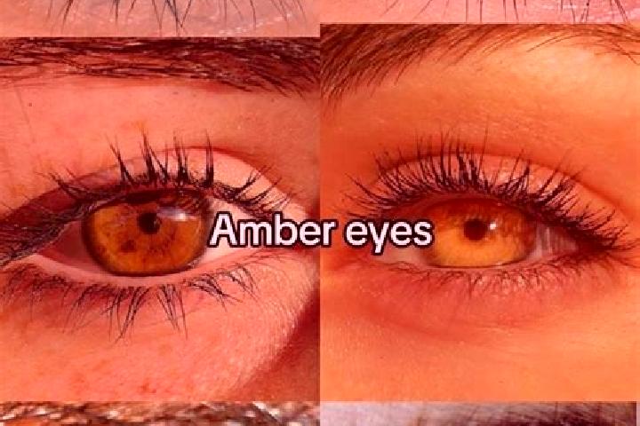 Amelia, 36, a brunette amber-eyed caribbean companion based in Corrigan. Offering BDSM, Tantra, Fetish. Available for incall and outcall, overnight bookings ...