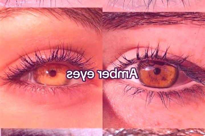 Amelia, 36, a chestnut amber-eyed slavic companion based in Mayya. Offering Deep French Kissing, A-Level, Dinner Date, Overnight, GFE. Available for incall a...
