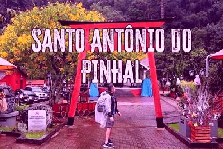 Amelia, 36 — Escort in Pinhal de Sao Bento, Brazil
