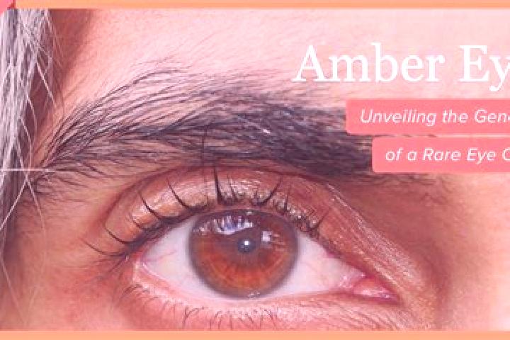 Amelia, 37, a red amber-eyed mediterranean companion based in Kineshma. Offering Deep French Kissing, BDSM, Girlfriend Experience, GFE. Available for incall ...