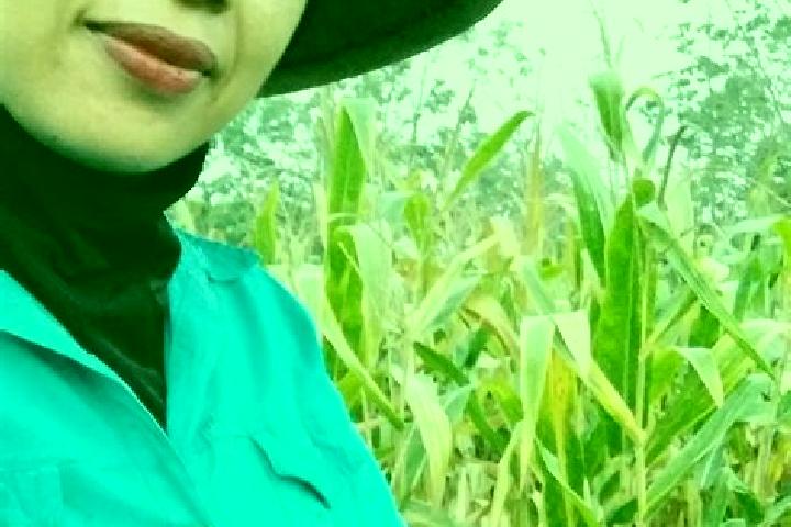 Amelia, 37 — Escort in Mliwang, Indonesia
