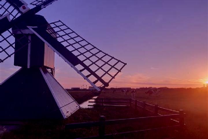 Amelia, 37 — Escort in Zuidschermer, Netherlands