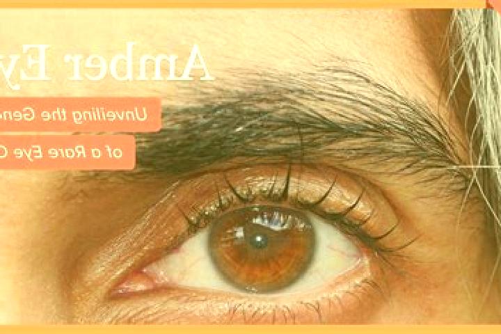 Amelia, 38, a black amber-eyed middle eastern companion based in Coulounieix-Chamiers. Offering CIM, Dinner Date, Fetish. Available for incall and outcall, o...