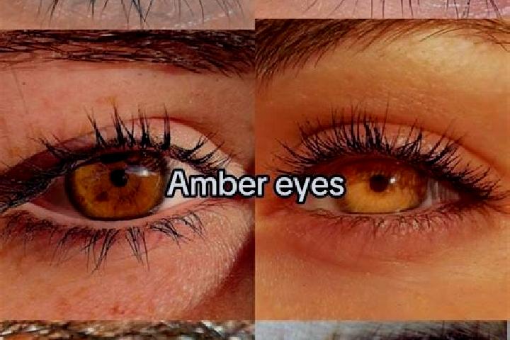 Amelia, 38, a brunette amber-eyed mixed companion based in Midstream. Offering CIM, Overnight, BDSM. Available for incall and outcall, day and evening dates.