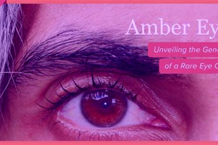 Amelia, 39, a black amber-eyed latina companion based in Downtown St. John s. Offering GFE, Dinner Date, OWO, Couples, 69. Available for incall and outcall, ...