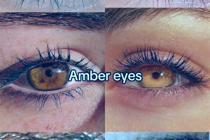 Amelia, 39, a chestnut amber-eyed indian companion based in Yurty. Offering Couples, GFE, Deep French Kissing. Available for incall and outcall, day and even...