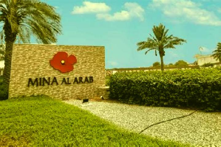 Amelia, 39 — Escort in Kharbatha al Misbah, Palestine