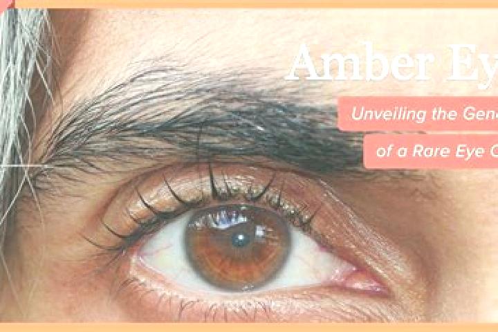 Aria, 22, a black amber-eyed mixed companion based in Chishmy. Offering OWO, Party Girl, Massage, Fetish, Domination. Available for incall and outcall, day a...
