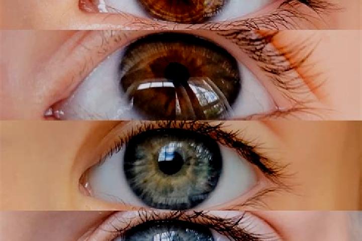 Aria, 22, a chestnut grey-eyed mixed companion based in Gagliano Aterno. Offering Travel Companion, Fetish, Overnight. Available for incall and outcall, day ...