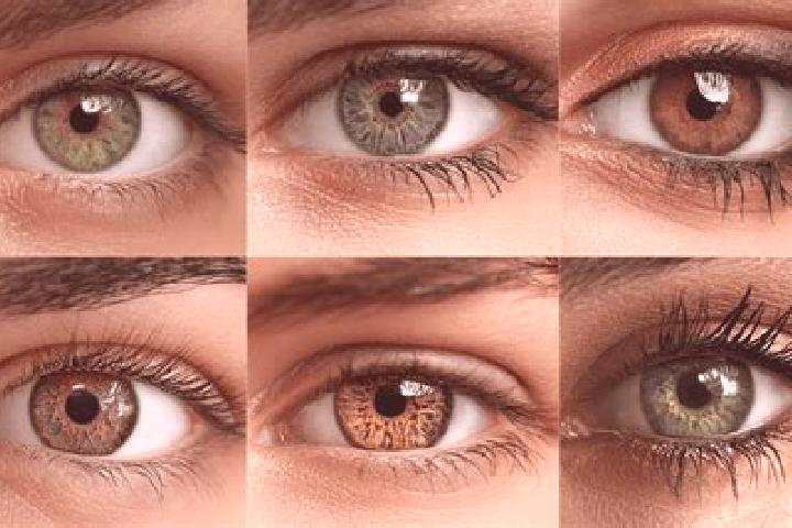 Aria, 22, a red hazel-eyed caucasian companion based in Lihue. Offering Dinner Date, Roleplay, Duos, CIM, Fetish. Available for incall and outcall, overnight...
