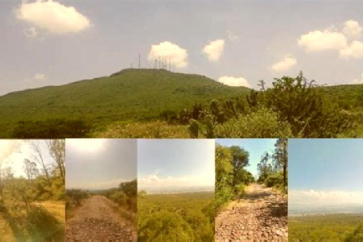 Aria, 22 — Escort in Cerro del Campo, Mexico