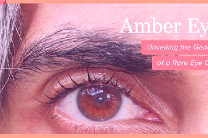 Aria, 23, a black amber-eyed caucasian companion based in Roncola. Offering Travel Companion, Tantra, Couples. Available for incall and outcall, day and even...
