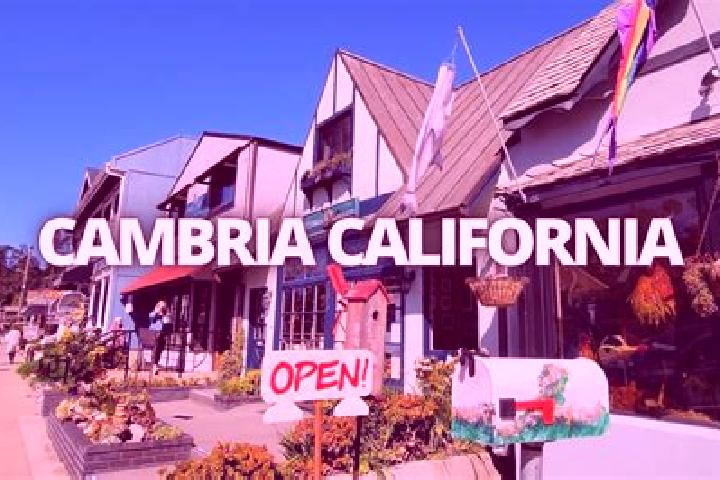 Aria, 24 — Escort in Cambira, Brazil
