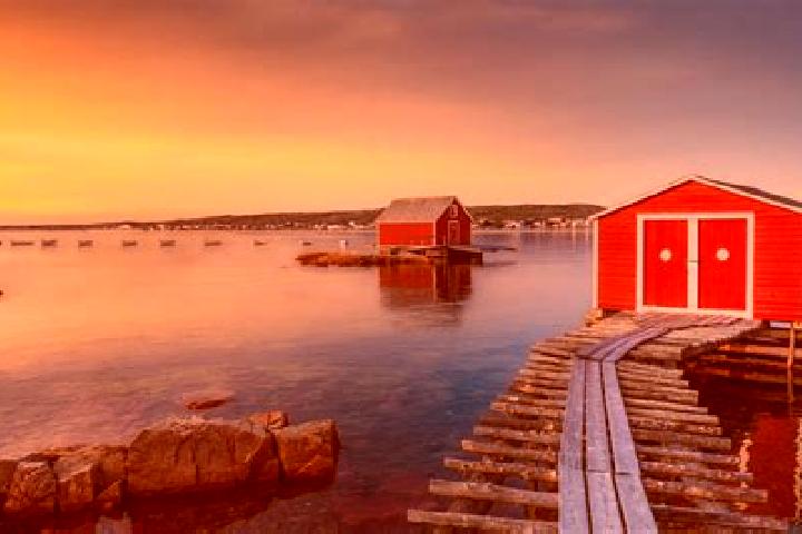 Aria, 24 — Escort in Fogo Island, Canada