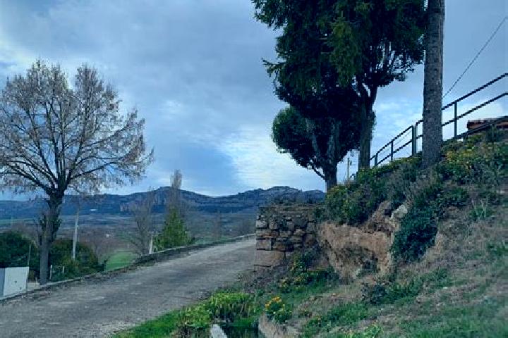 Aria, 24 — Escort in Salas de Bureba, Spain
