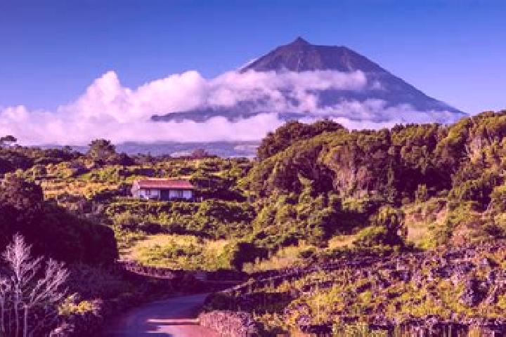 Aria, 24 — Escort in Sao Roque do Pico, Portugal