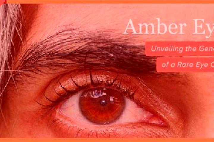 Aria, 25, a red amber-eyed caucasian companion based in Kleinsoell. Offering Striptease, Party Girl, BDSM, CIM. Available for incall and outcall, overnight b...