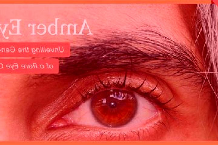 Aria, 25, a red amber-eyed caucasian companion based in Mitrabakti. Offering OWO, 69, GFE. Available for incall and outcall, overnight bookings available.
