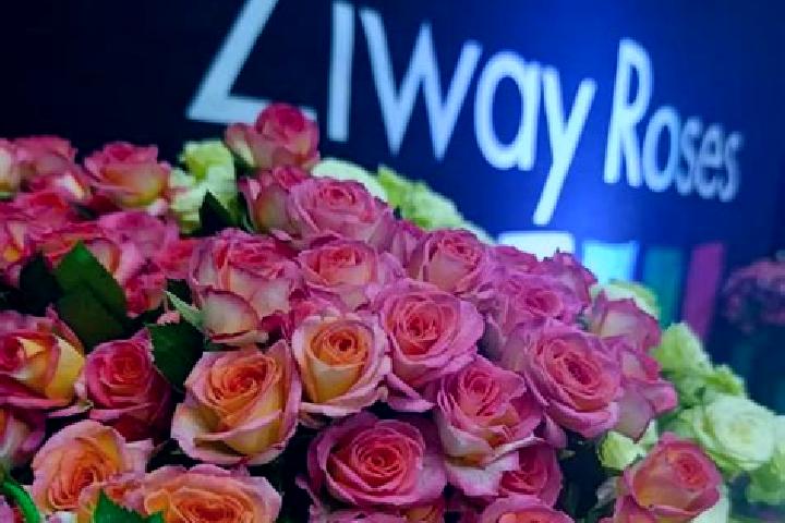 Aria, 25 — Escort in Ziway, Ethiopia