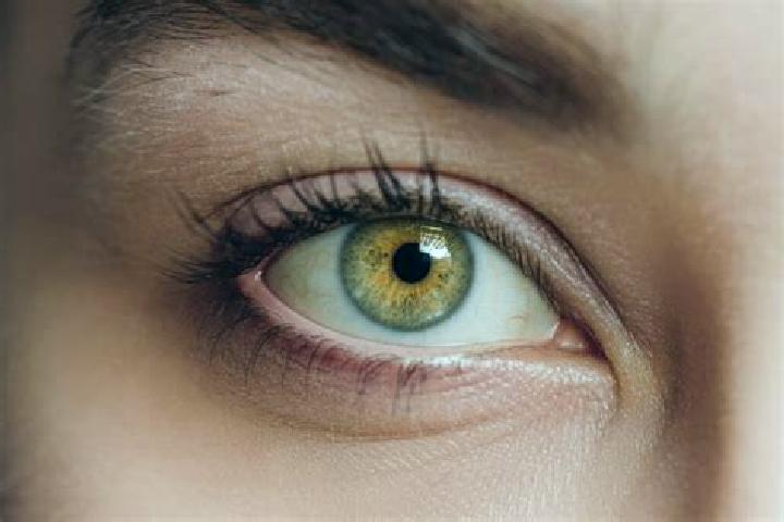 Aria, 26, a blonde hazel-eyed mixed companion based in Pachuquilla. Offering GFE, Travel Companion, Fetish, Overnight. Available for incall and outcall, day ...