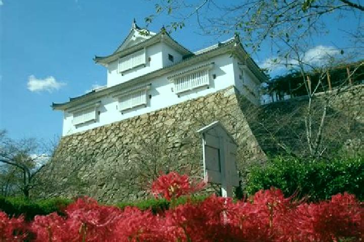 Aria, 26 — Escort in Tsuyama, Japan
