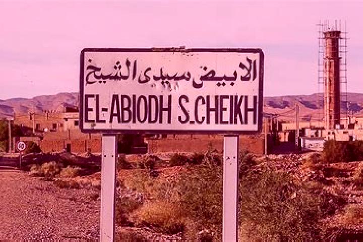 Aria, 27 — Escort in El Abiodh Sidi Cheikh, Algeria