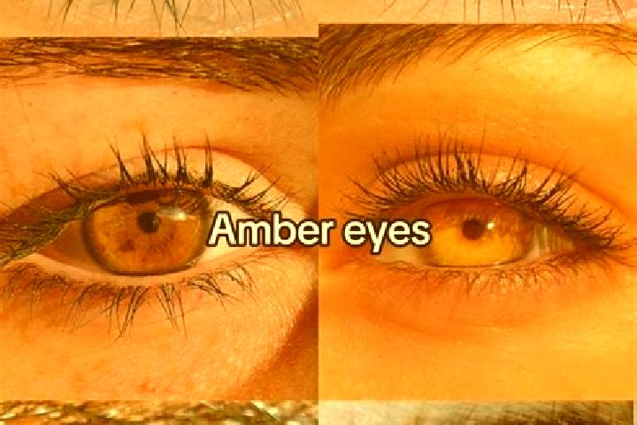 Aria, 28, a chestnut amber-eyed european companion based in Bonogin. Offering Roleplay, Duos, Prostate Massage. Available for incall and outcall, day and eve...