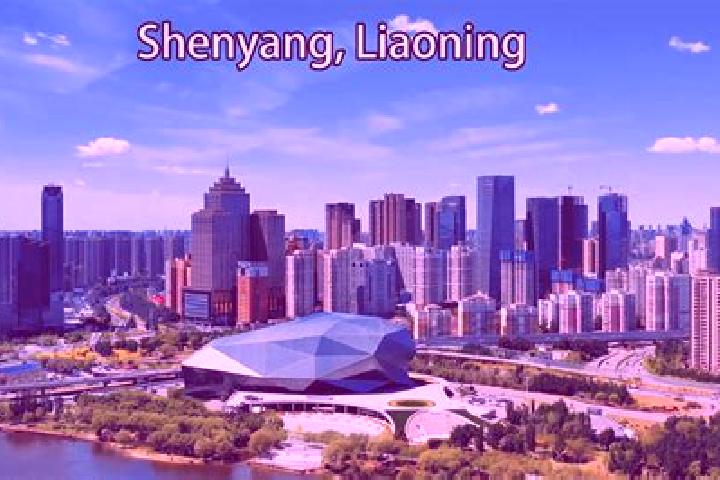 Aria, 29 — Escort in Shangyang, China