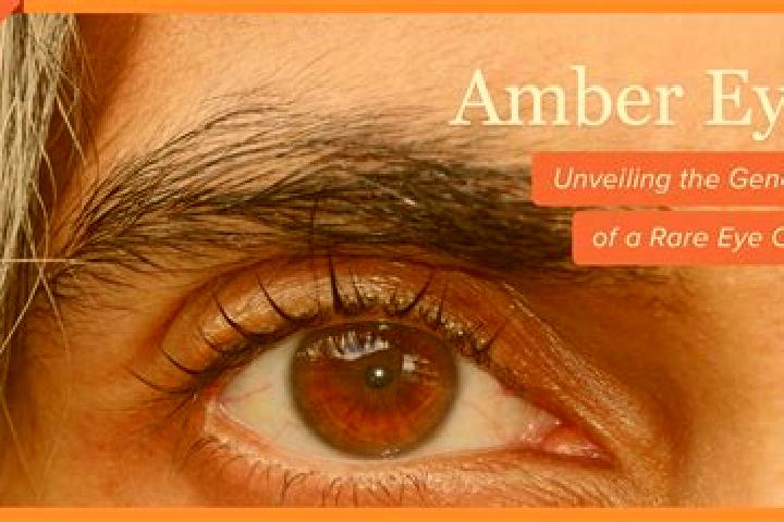 Aria, 31, a black amber-eyed european companion based in Armavir. Offering Overnight, OWO, Prostate Massage. Available for incall and outcall, day and evenin...