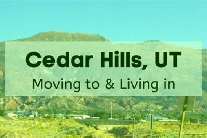 Aria, 31 — Escort in Cedar Hills, United States