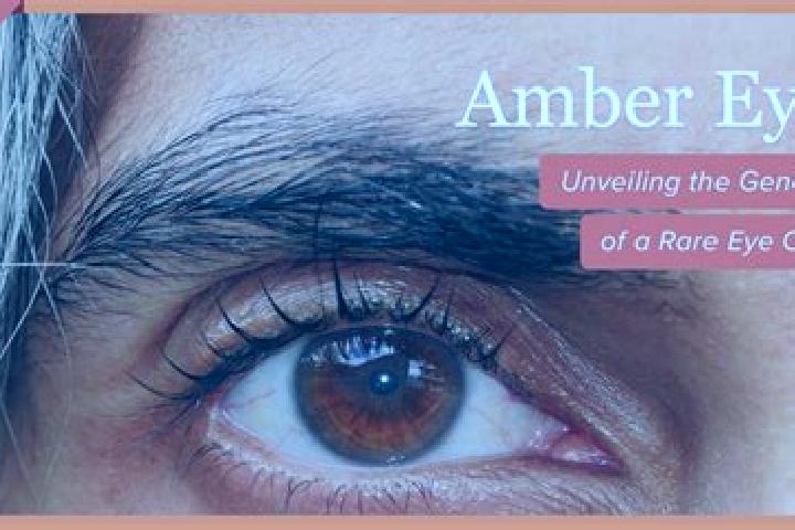 Aria, 33, a red amber-eyed caribbean companion based in Lampeter. Offering BDSM, A-Level, Roleplay. Available for incall and outcall, overnight bookings avai...