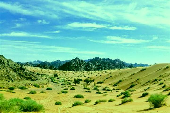 Aria, 33 — Escort in Al Khafji, Saudi Arabia