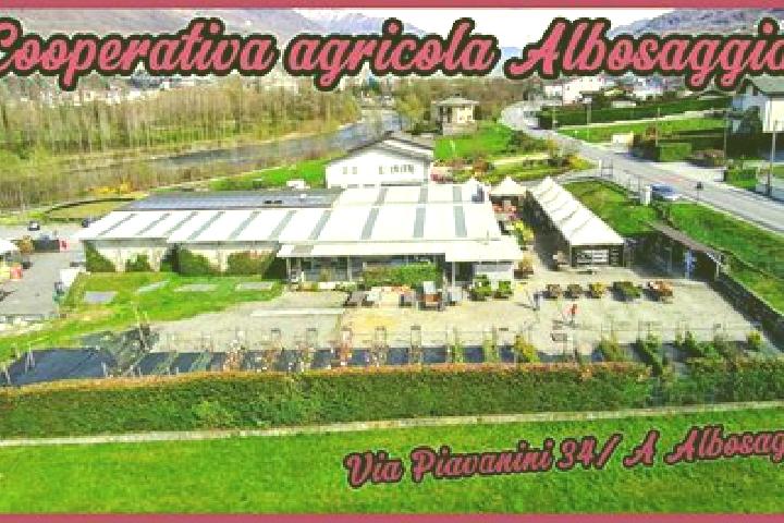 Aria, 33 — Escort in Castione Andevenno, Italy