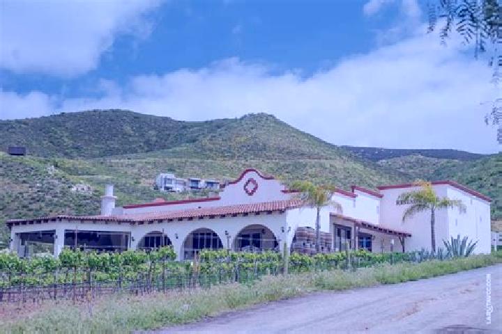 Aria, 34 — Escort in Hacienda Guadalupe, Mexico