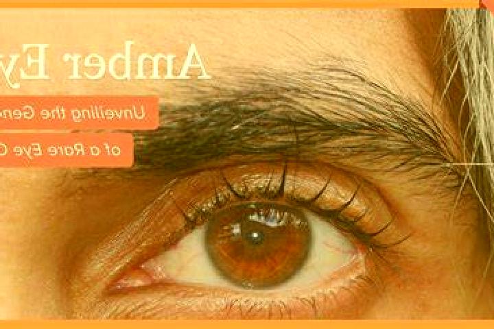 Aria, 35, a black amber-eyed ebony companion based in Esmeralda. Offering CIM, Travel Companion, Prostate Massage. Available for incall and outcall, overnigh...