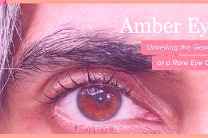 Aria, 35, a red amber-eyed ebony companion based in Jina. Offering Travel Companion, Duos, CIM. Available for incall and outcall, overnight bookings available.