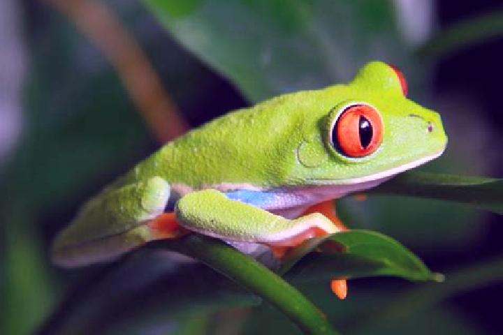 Aria, 35, a red green-eyed caribbean companion based in Coral Harbour. Offering Overnight, OWO, Fetish, Duos. Available for incall and outcall, overnight boo...