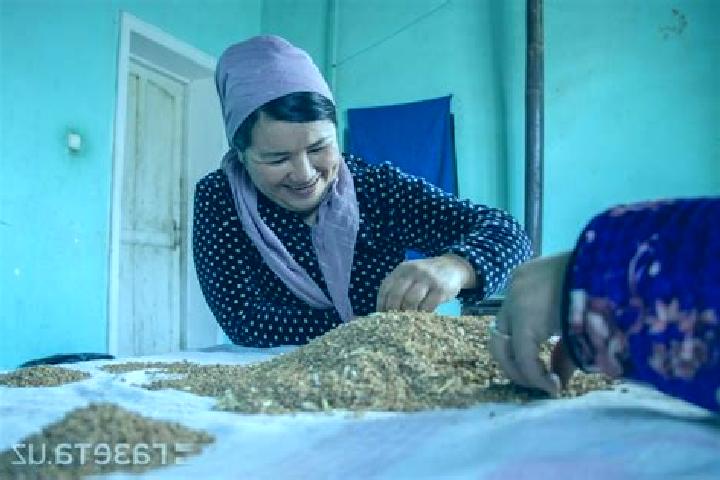 Aria, 35 — Escort in G allaorol Shahri, Uzbekistan