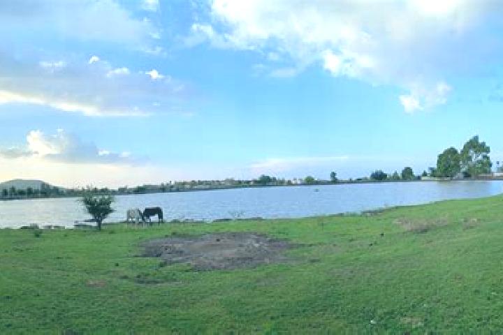 Aria, 35 — Escort in Laguna de Vaquerias, Mexico