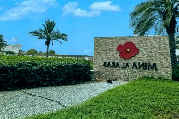 Aria, 36 — Escort in Dura al Qar , Palestine