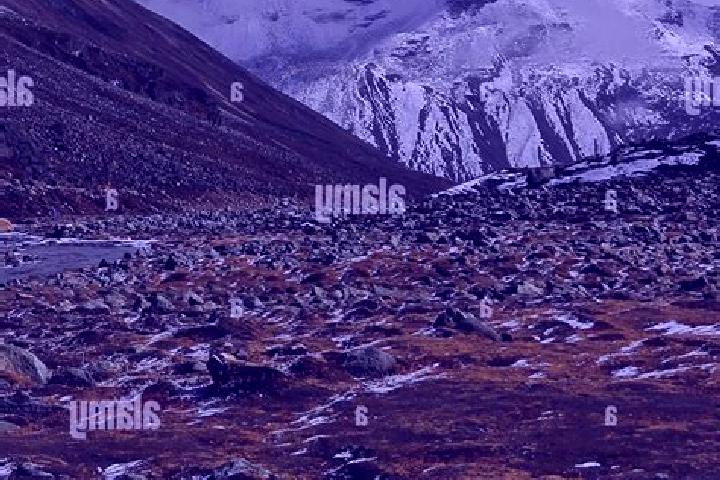Aria, 36 — Escort in Tundra, India