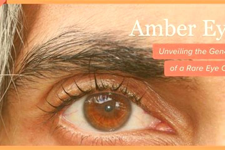Aria, 38, a red amber-eyed slavic companion based in Schoenwalde. Offering Roleplay, Erotic Massage, Duos, Striptease, 69. Available for incall and outcall, ...