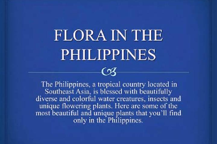 Aria, 38 — Escort in Camp Flora, Philippines