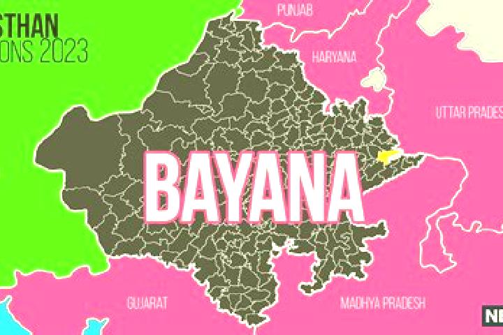 Aria, 39 — Escort in Bayana, India