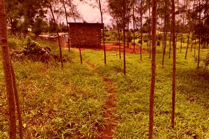 Aria, 39 — Escort in Londiani, Kenya