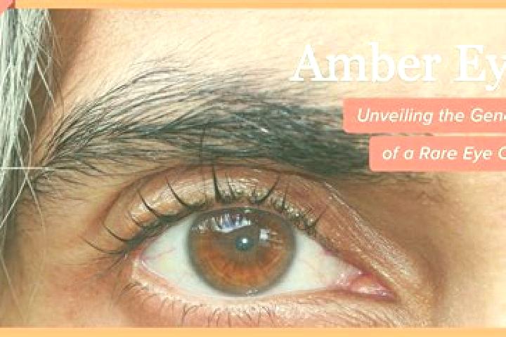 Ariana, 21, a black amber-eyed european companion based in Llano de la Cruz. Offering Duos, Roleplay. Available for incall and outcall, day and evening dates.