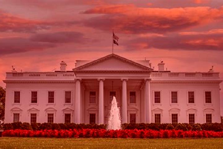 Ariana, 21 — Escort in White House, United States
