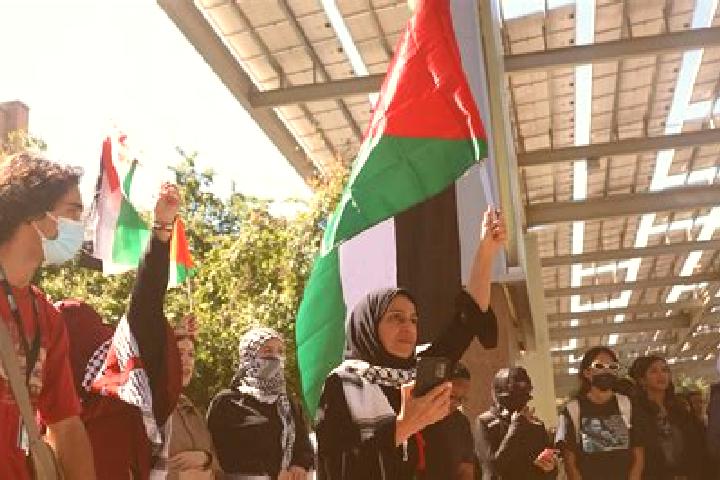 Ariana, 22 — Escort in Az Zahiriyah, Palestine
